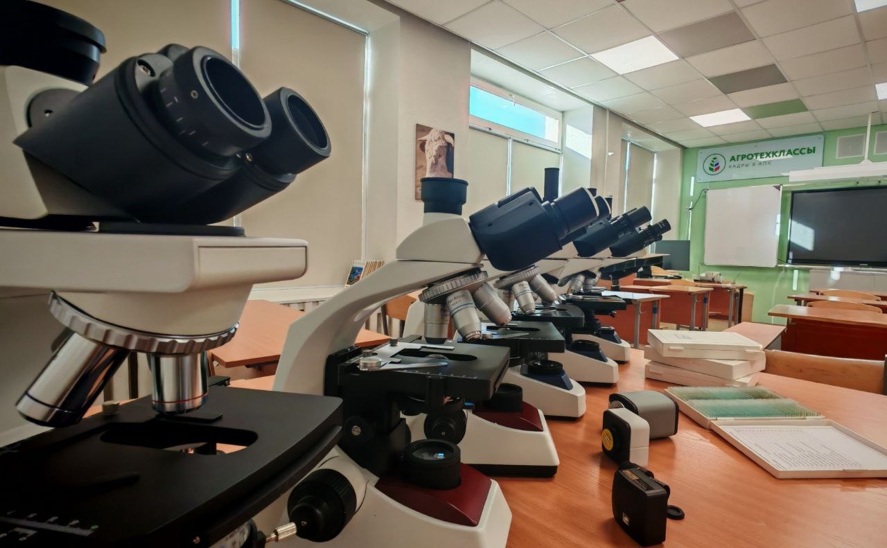 Микромир – это так увлекательно! .