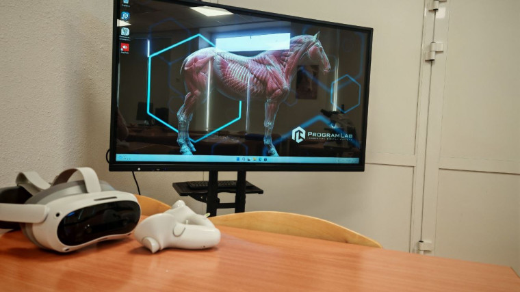 Привет, друзья! .