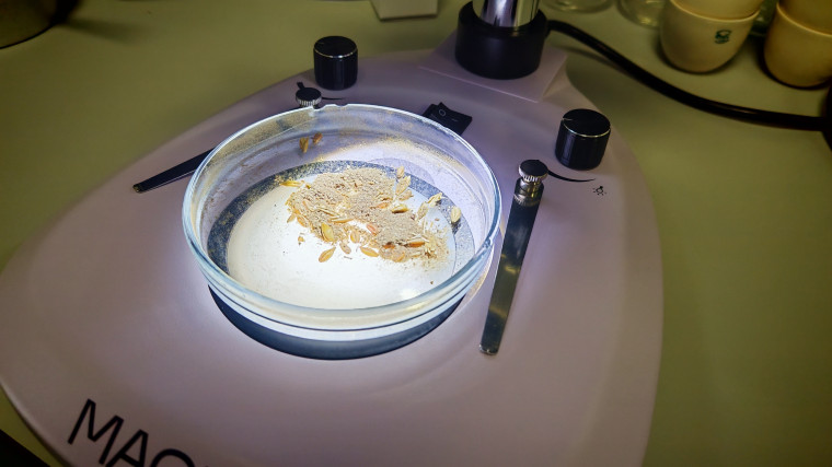 Кипит работа в нашем Агротехклассе! .