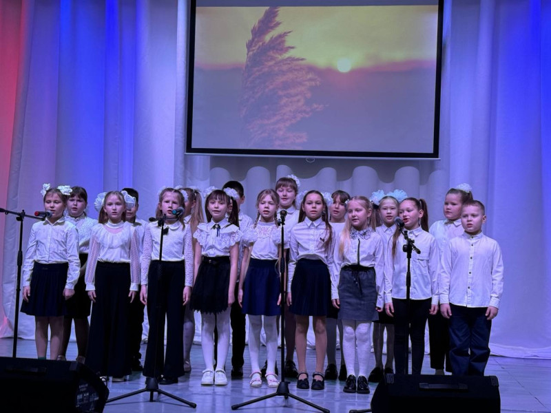 Муниципальный конкурс патриотической песни.